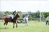 UKPA NC SAT_2365
